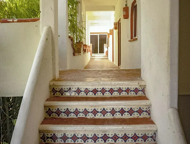 Hotel Manzana Verde hotel detail image 3