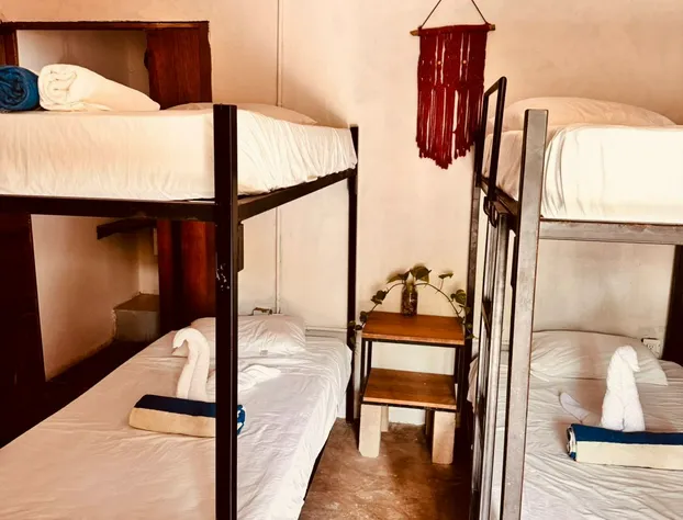 The Pool Treehouse Hotel hotel detail image 1