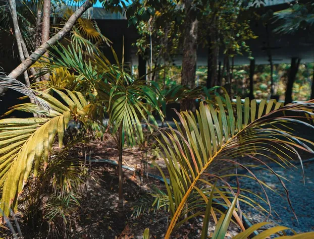 Kataleya hotel detail image 4