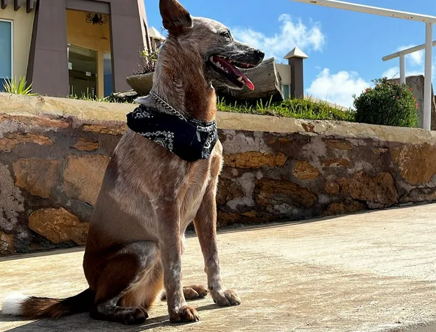 Hotel Paraiso Colonet hotel detail image 2