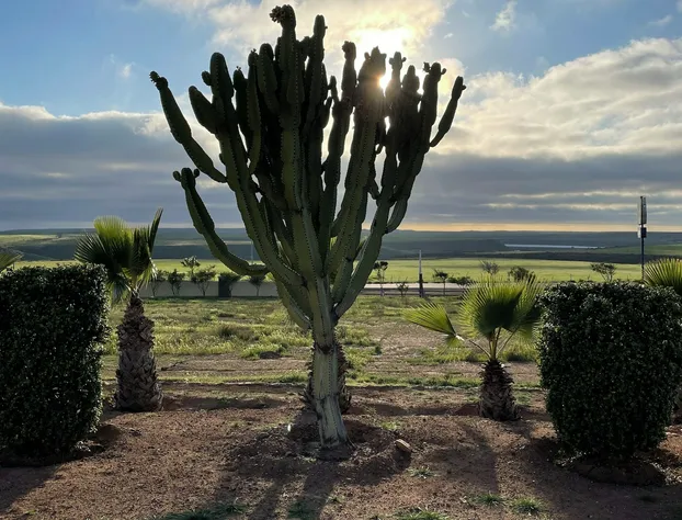 Hotel Paraiso Colonet hotel detail image 3