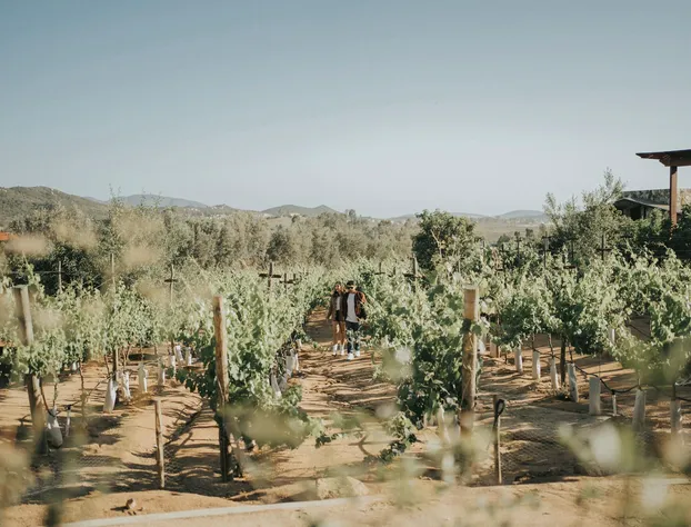 Cabins by 7 Valles hotel detail image 3
