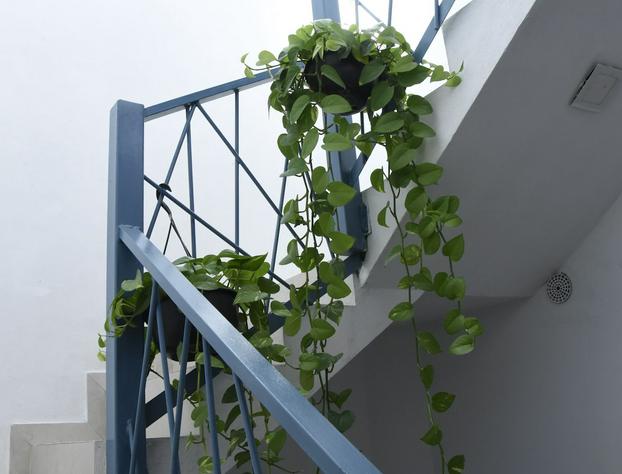 Hotel & Suites Punto Oriente hotel detail image 1