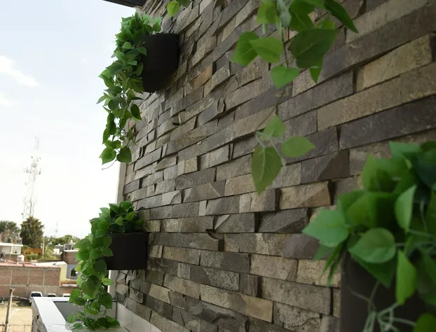 Hotel & Suites Punto Oriente hotel detail image 4