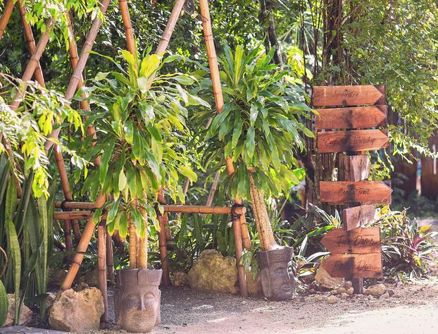 Ekumal Retreat Eco Sanctuary hotel detail image 4