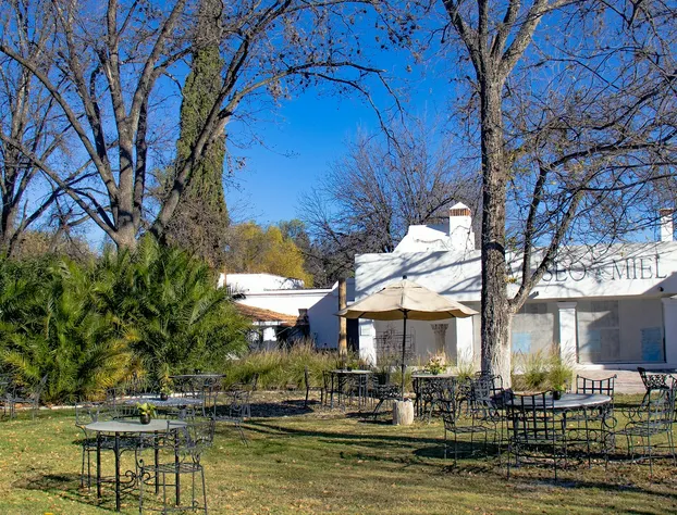 Tierra y Amor San Miguel de Allende hotel detail image 1