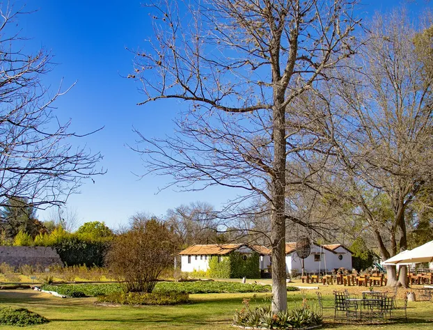 Tierra y Amor San Miguel de Allende hotel detail image 2