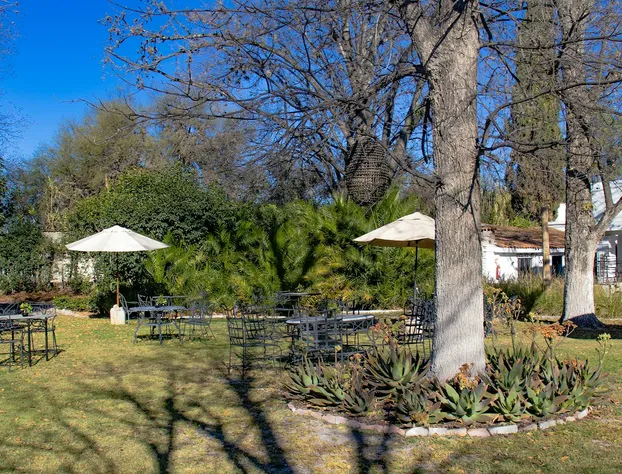 Tierra y Amor San Miguel de Allende hotel detail image 3