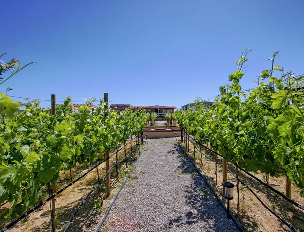 3333 Luz del Valle Hotel Boutique hotel detail image 1