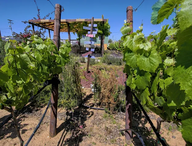 3333 Luz del Valle Hotel Boutique hotel detail image 2