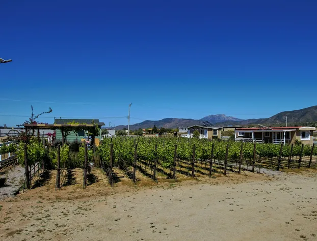 3333 Luz del Valle Hotel Boutique hotel detail image 3