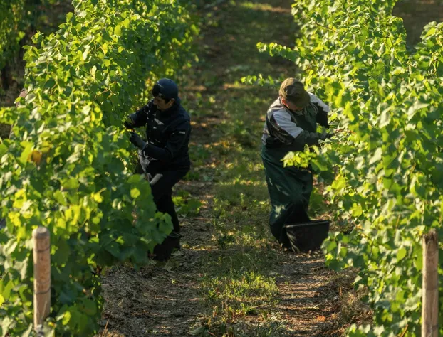 The Village at Oeno hotel detail image 4