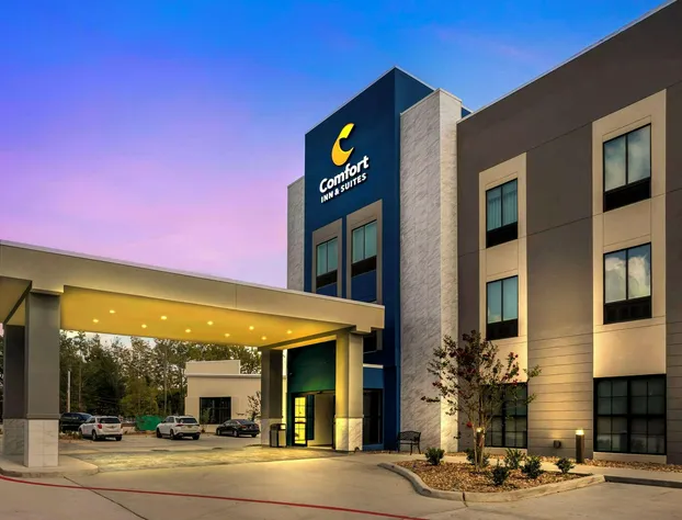 Comfort Inn & Suites Huntsville Near University hotel detail image 1