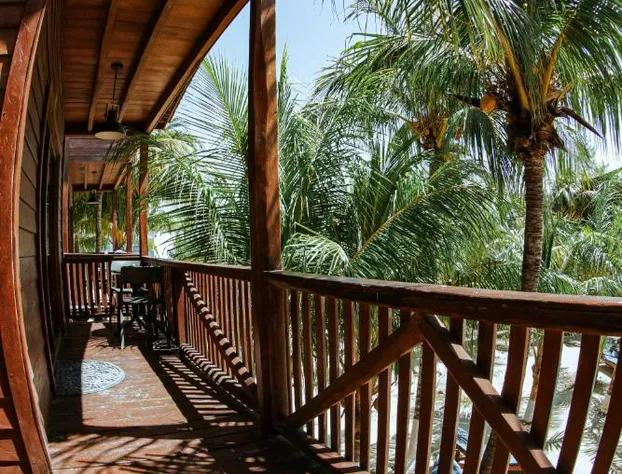 Coconut by ÓOL Hotels hotel detail image 4