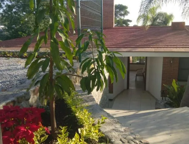 Bonanza Garden Suites hotel detail image 2