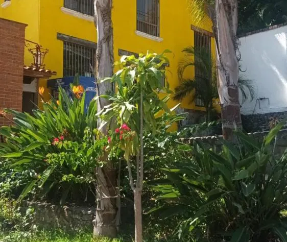 Bonanza Garden Suites hotel detail image 4