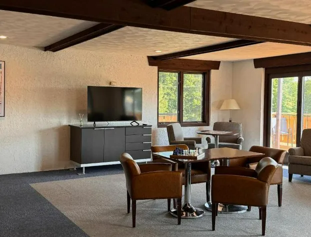 Davos Chalet hotel detail image 3