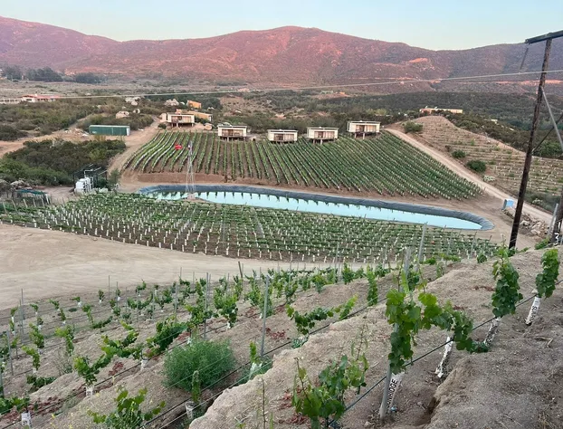 Castillo Toscana Hotel Boutique hotel detail image 2