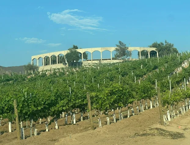 Castillo Toscana Hotel Boutique hotel detail image 3