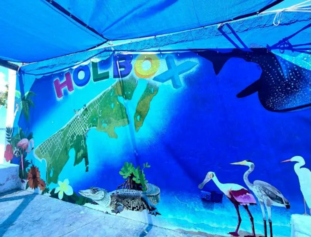 Isla Bonita Hotel Holbox hotel detail image 3