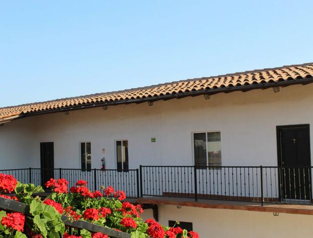 Viñas del Castillo Hotel Boutique hotel detail image 4
