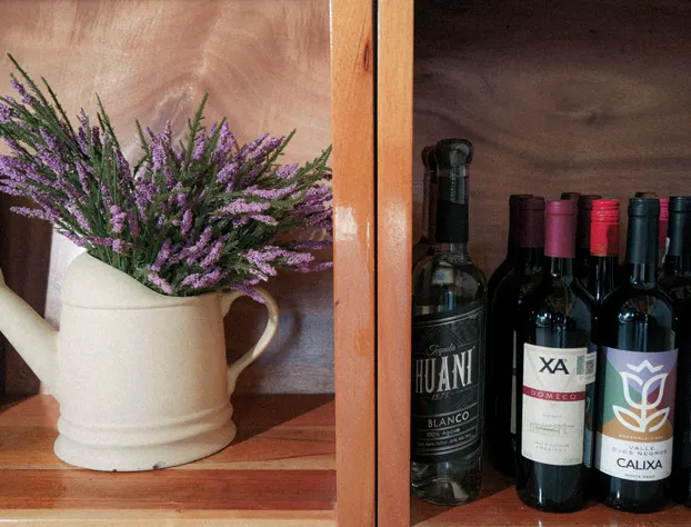 Hotel El Porvenir hotel detail image 4