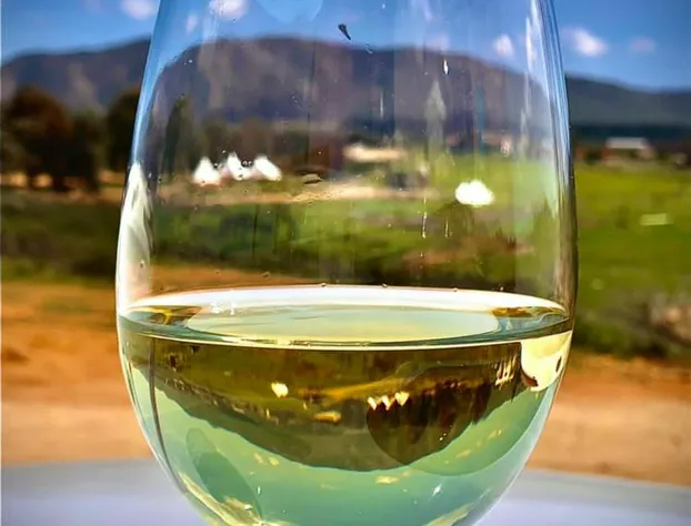 Lago Valle Wine Glamping hotel detail image 2