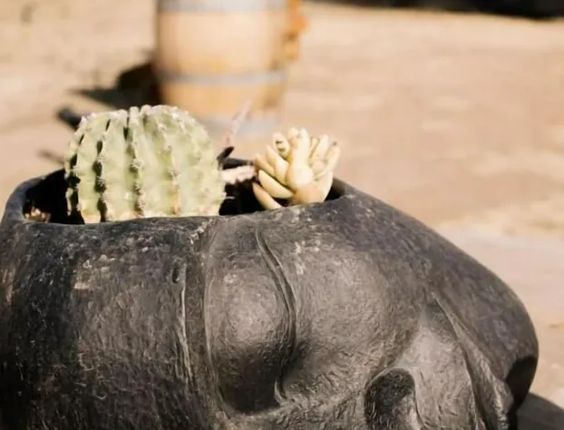 Lago Valle Wine Glamping hotel detail image 2