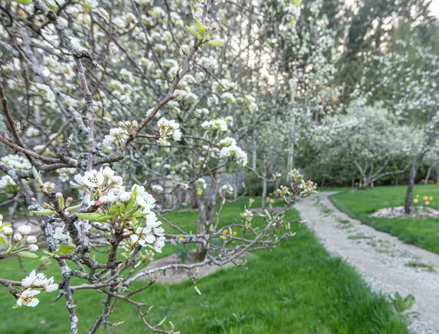 Lightwater Cove hotel detail image 4