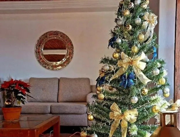 Casa rosario hotel detail image 2