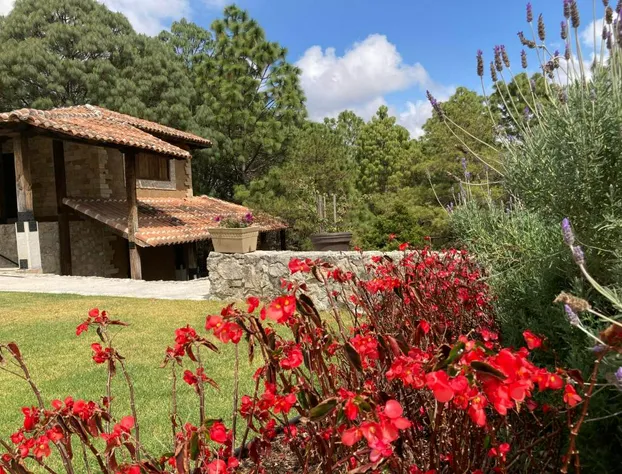 Hotel Rocaval hotel detail image 3