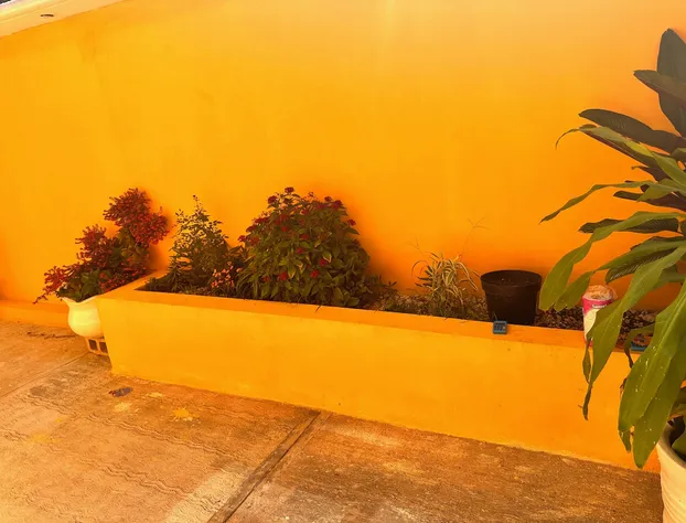 Kiimakóol hotel detail image 2