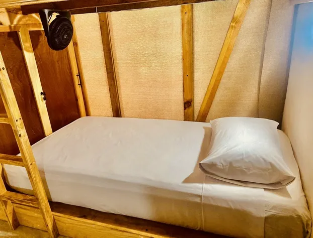 Hotel Capsula Vive Surf hotel detail image 2