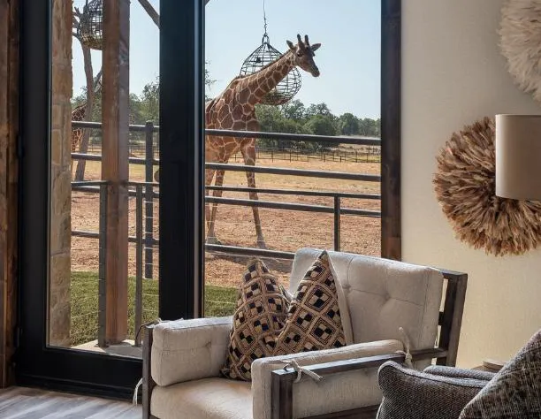 Longneck Manor hotel detail image 1