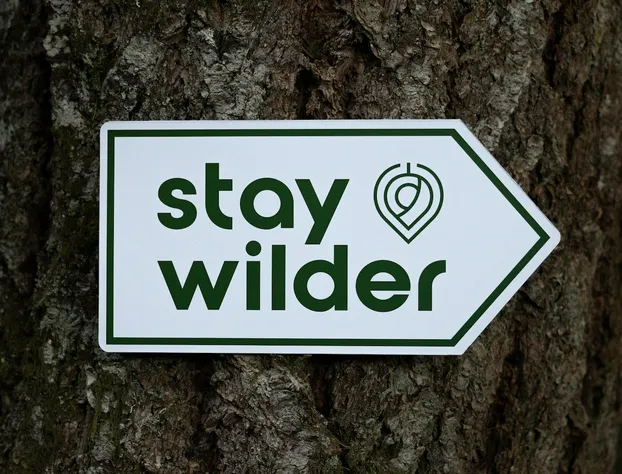 Stay Wilder - Adults Only hotel detail image 1