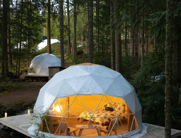 Stay Wilder - Adults Only hotel detail image 3