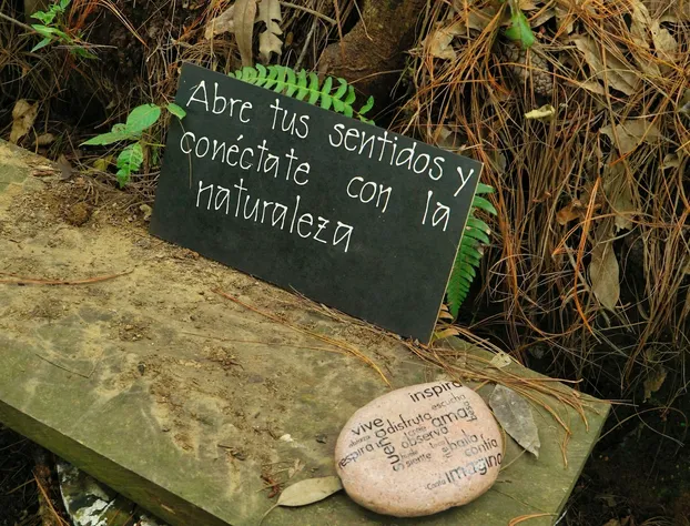 Eucaliptos Med Spa hotel detail image 4