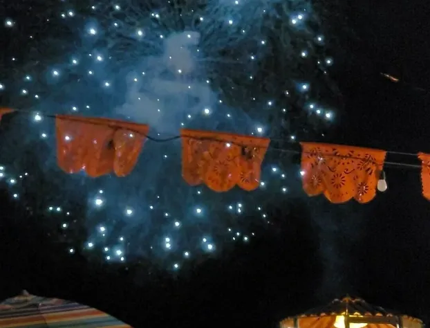 The Estates at Vidanta hotel detail image 4