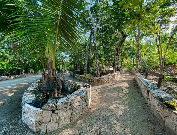 Ka'ax Cenote Resort hotel detail image 3