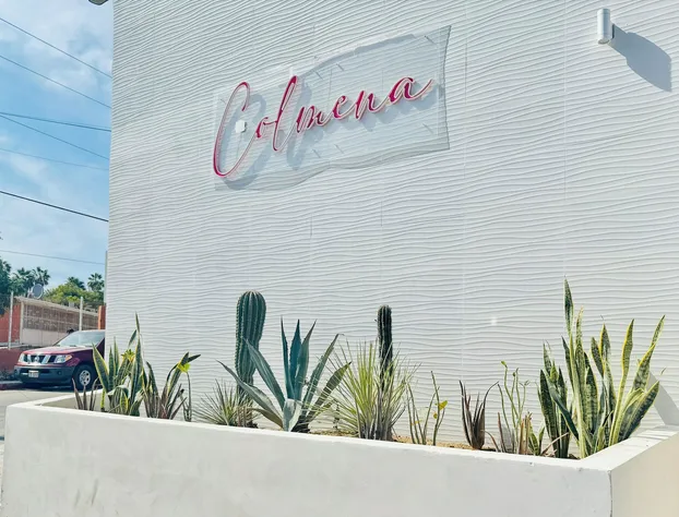 Colmena Hotel Los Cabos Marina hotel detail image 1