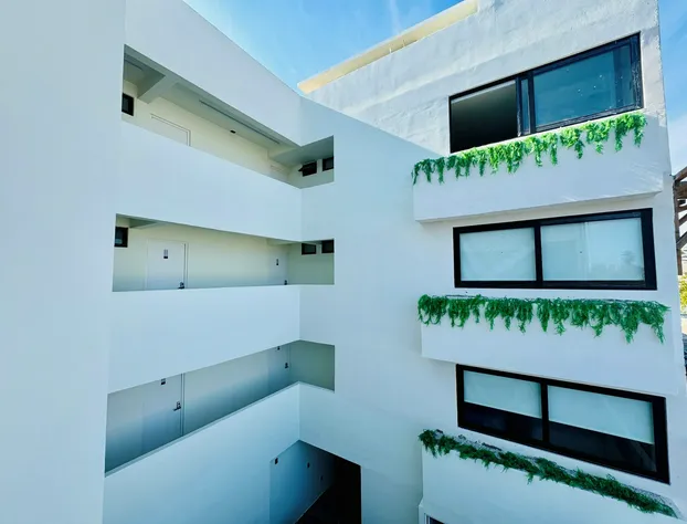 Colmena Hotel Los Cabos Marina hotel detail image 3