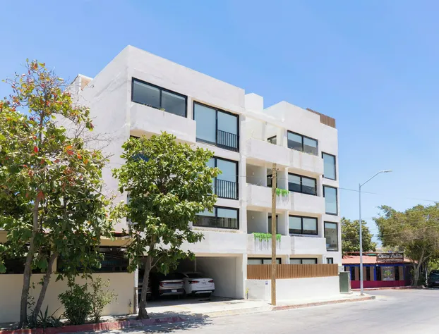 Colmena Hotel Los Cabos Marina hotel detail image 4
