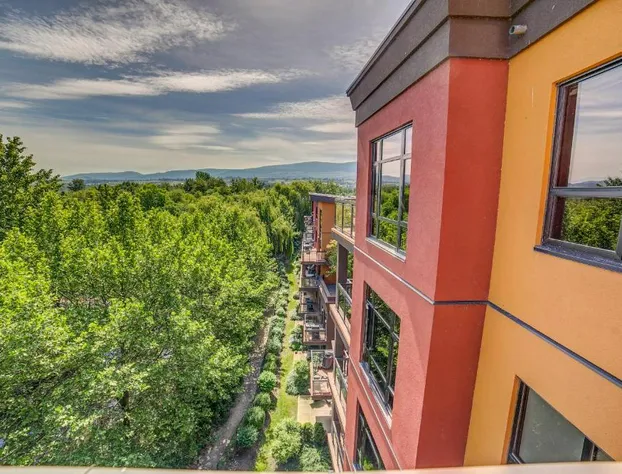 Playa Del Sol Resort - Vacation Rentals hotel detail image 3