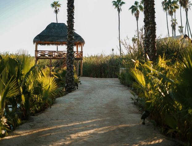 Amet Nature Retreat hotel detail image 3