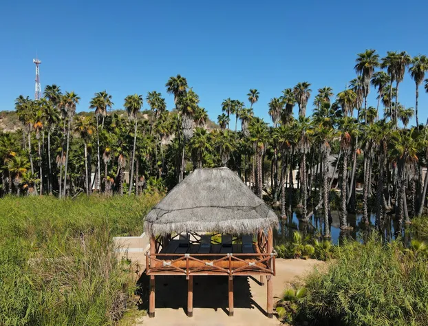 Amet Nature Retreat hotel detail image 4