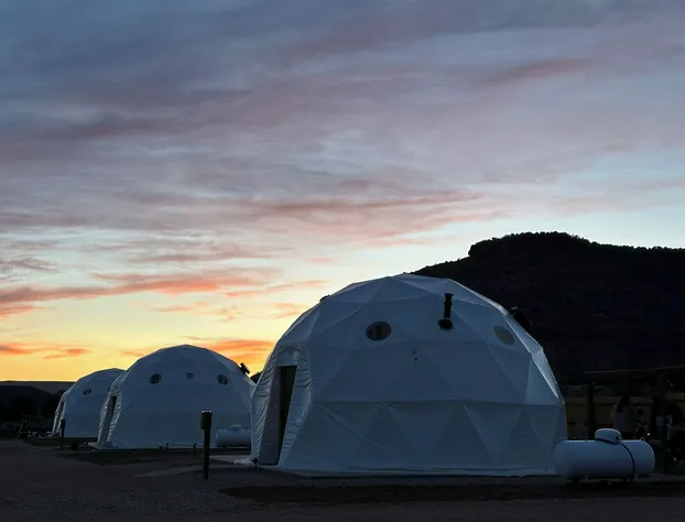 White Camel hotel detail image 1
