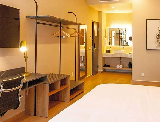 Tryp By Wyndham Ciudad Guzman Uttsa hotel detail image 4