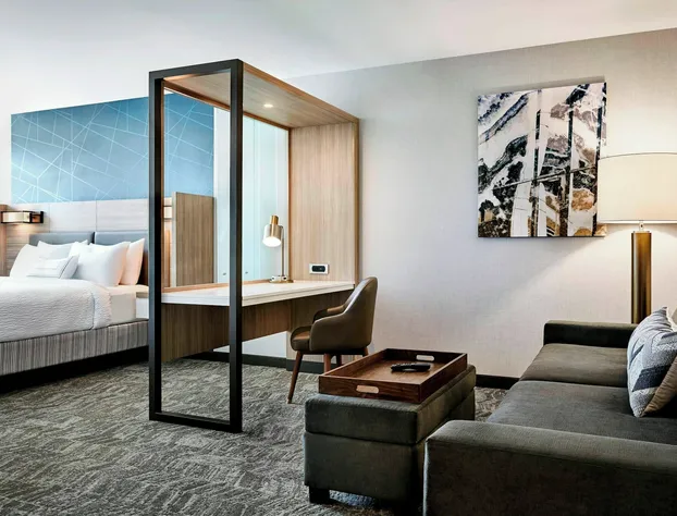 Springhill Suites By Marriott Raleigh Garner hotel detail image 3