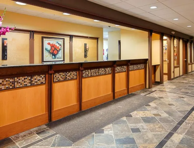 Americinn by Wyndham Birch Run/Frankenmuth hotel detail image 4