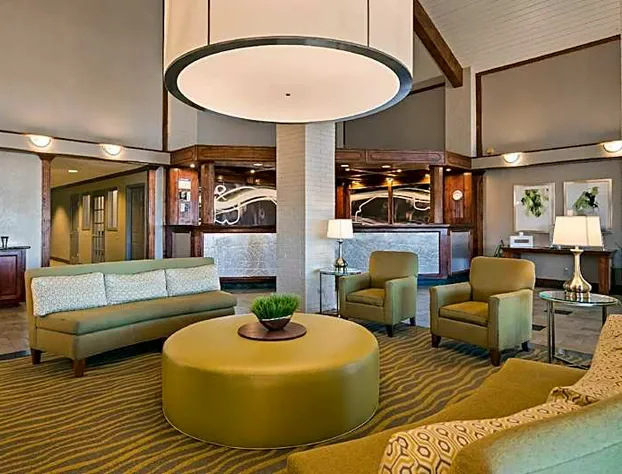 Irving Inn and Suites at DFW Airport hotel detail image 4